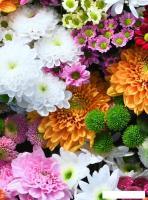 Фотообои ФабрикаФресок Цветочная Оранжерея 1012270 (200x270)