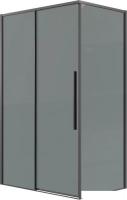 Душевой уголок Grossman Galaxy 110x90x195 120.K33.01.1190.42.10 (графит сатин/тонированное стекло)