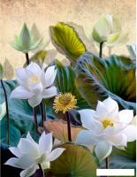 Фотообои Citydecor Цветы и Растения 163 200x260