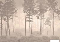 Фотообои Citydecor Таинственный лес 10 200x140