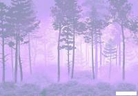 Фотообои Citydecor Таинственный лес 13 200x140