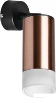 Бра Lightstar Rullo RB43031