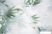 Фотообои Citydecor Цветы и растения 153 400x260