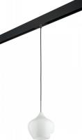 Трековый светильник Lightstar Pentola PRO803040
