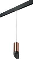 Трековый светильник Lightstar Rullo PRORP43037