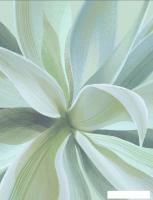 Фотообои Citydecor Sunset 43 200x260