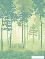 Фотообои Citydecor Таинственный лес 11 200x260