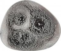 Тарелка обеденная By Bone IS-ON-26-DZ