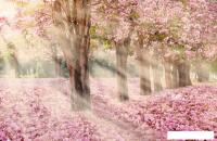 Фотообои Citydecor Сказочная природа 5 400x260