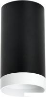 Спот Lightstar Rullo R4373436
