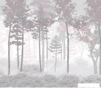 Фотообои Citydecor Таинственный лес 15 300x260