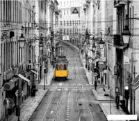 Фотообои Citydecor Города и Архитектура 51 300x260