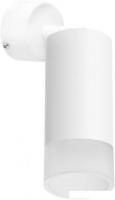 Бра Lightstar Rullo RB43631