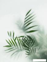 Фотообои Citydecor Цветы и Растения 155 200x260