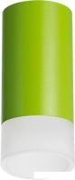 Спот Lightstar Rullo R43431