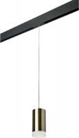 Трековый светильник Lightstar Rullo PRORP43130