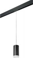 Трековый светильник Lightstar Rullo PRORP648780