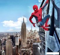 Фотообои Arthata Fotooboi-SpiderMan-70 (300x270)