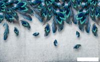 Фотообои Vimala 3D Перья сверху 270x400