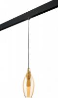 Трековый светильник Lightstar Pentola PRO803023
