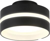 Точечный светильник Ambrella TN5421 SBK/FR (черный песок/белый матовый)