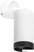 Бра Lightstar Rullo RB4363437