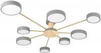 Припотолочная люстра LOFT IT Sunrise 10316/8 (Grey)