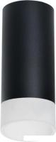 Спот Lightstar Rullo R648781