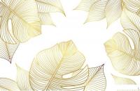 Фотообои Citydecor Цветы и растения 126 400x260