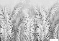 Фотообои Citydecor Пальмовые листья Air 74 200x140