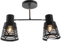 Люстра средней высоты Aitin Pro НПБ 02-2x60-101 6074/2 (черный/золото)