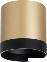Точечный светильник Lightstar Rullo R34903487