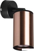 Бра Lightstar Rullo RB430