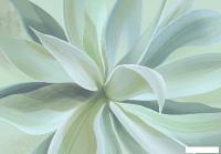 Фотообои Citydecor Sunset 43 200x140