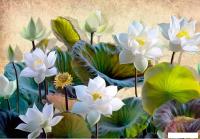 Фотообои Citydecor Цветы и Растения 163 200x140