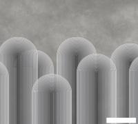 Фотообои Vimala Абстракция 37 270x300