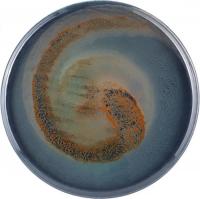 Тарелка обеденная Gipfel Vortex 43212 (синий/зеленый)