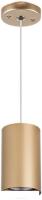 Подвесная люстра Lightstar Rullo RP4401
