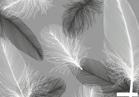 Фотообои Citydecor Абстракция 390 200x140