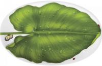 Блюдо Taitu Freedom 1-88