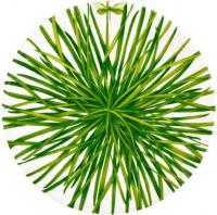 Блюдо Taitu Life In Green 12-13-6