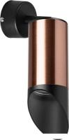 Бра Lightstar Rullo RB43037