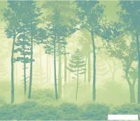 Фотообои Citydecor Таинственный лес 11 300x260