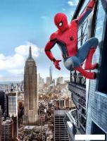 Фотообои Arthata Fotooboi-SpiderMan-70 (200x270)