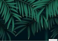 Фотообои Citydecor Цветы и Растения 137 200x140