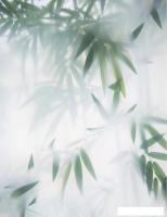 Фотообои Citydecor Цветы и Растения 153 200x260