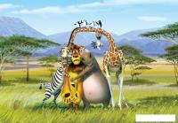 Фотообои Citydecor Мадагаскар 300x150