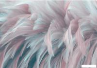 Фотообои Citydecor Абстракция 27 200x140