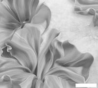 Фотообои Vimala Абстракция 42 270x300