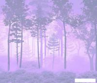 Фотообои Citydecor Таинственный лес 13 300x260